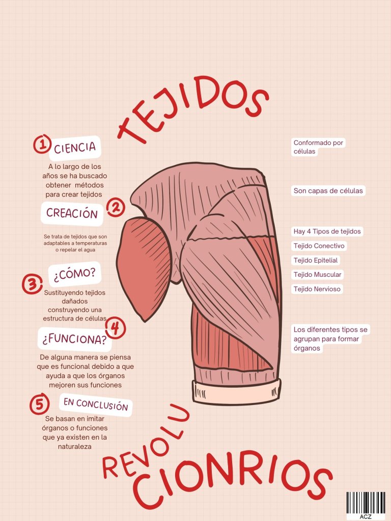 tejidos revolucionarios